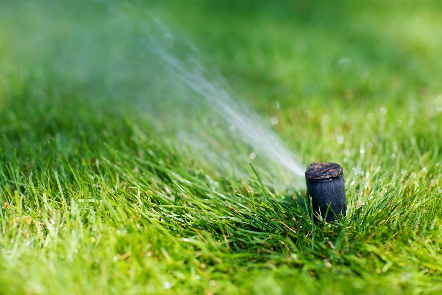 How to Water Your Lawn and Gardens Properly Select Sprinklers